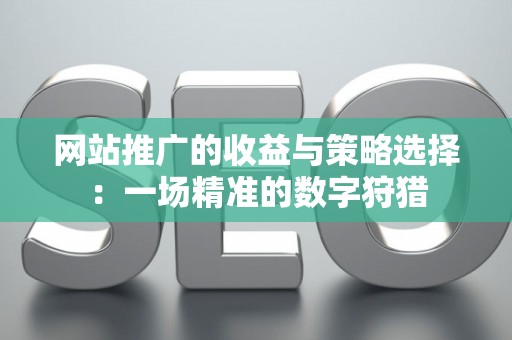 网站推广的收益与策略选择：一场精准的数字狩猎