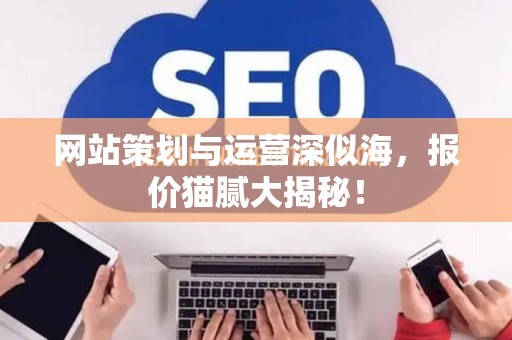 网站策划与运营深似海，报价猫腻大揭秘！