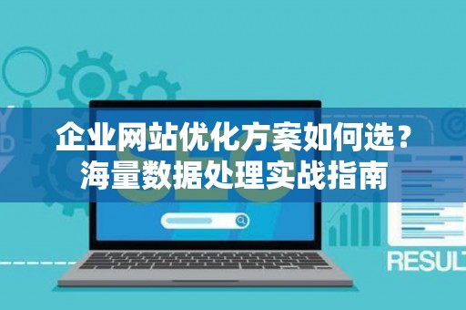 企业网站优化方案如何选？海量数据处理实战指南
