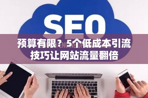 预算有限？5个低成本引流技巧让网站流量翻倍