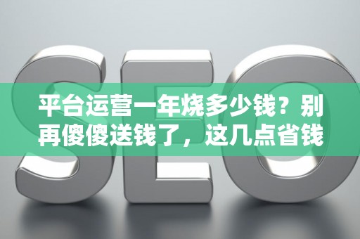 平台运营一年烧多少钱？别再傻傻送钱了，这几点省钱诀窍你得懂！