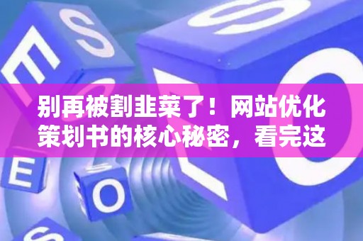 别再被割韭菜了！网站优化策划书的核心秘密，看完这篇省下几万块